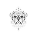 Mystical Pug Line Art Kiss-Cut Vinyl Sticker — Decorative Dog Portrait Decal