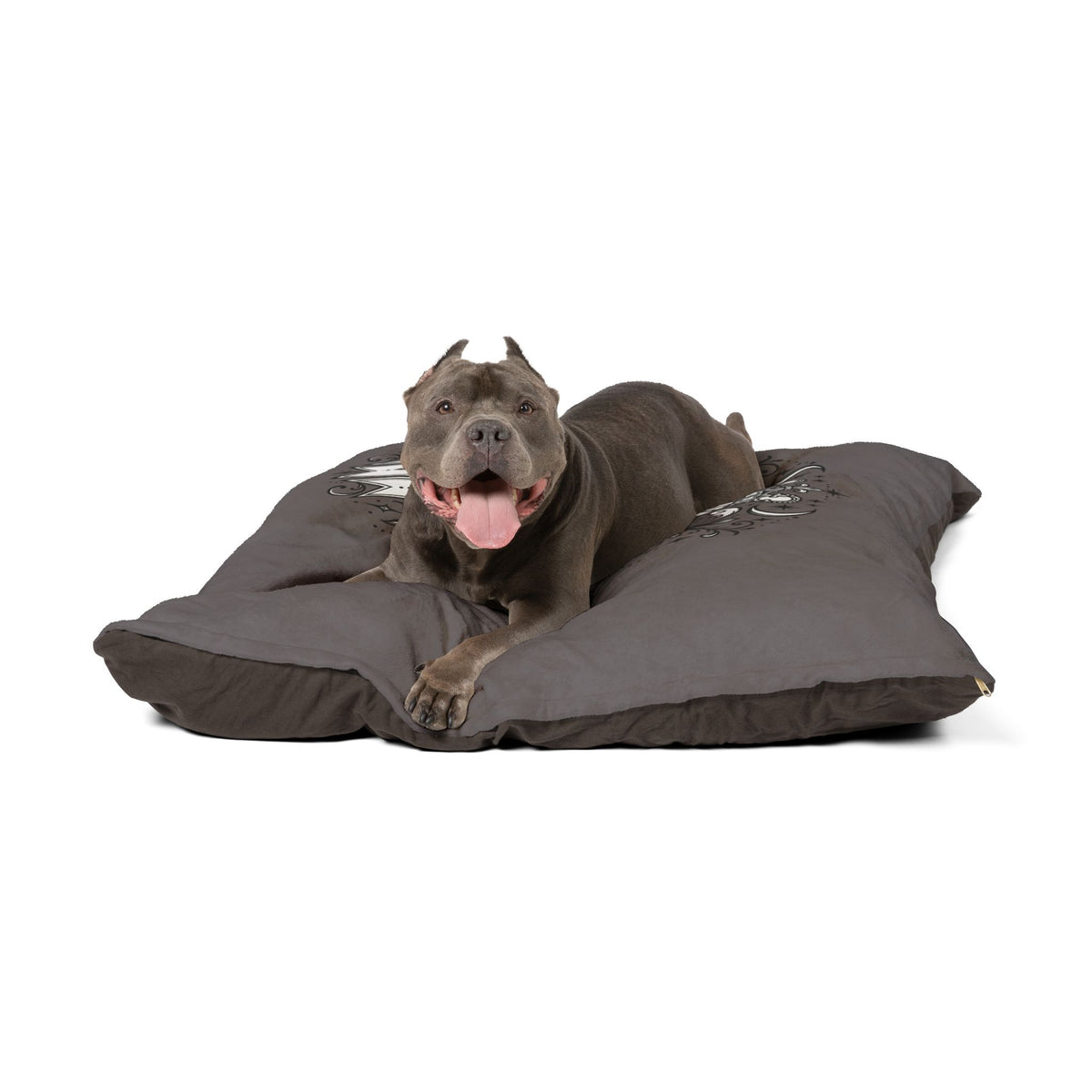 Best in Snooze Pet Bed — Plush Gray Dog & Cat Cushion with Royal Crest Design